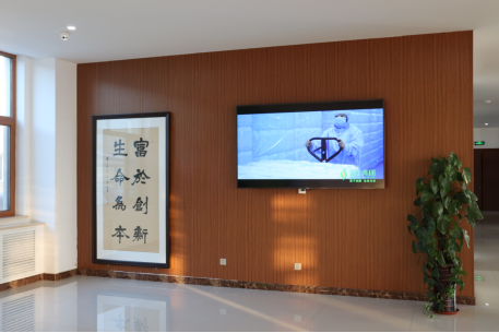 1579229104129619.png 1579164488(1).png